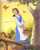Picture of Disney Movie Collection: Beauty and the Beast